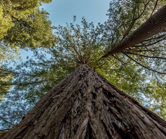 michael-bryant-605807-unsplash